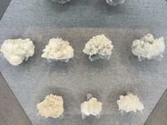 -贵州省地质博物馆