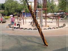 -成飞公园