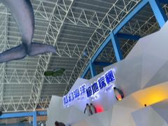 -泉城欧乐堡海洋极地世界