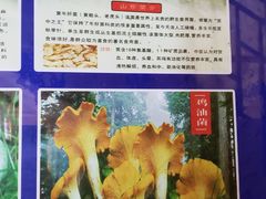 菜单-东巴谷野生菌火锅餐厅