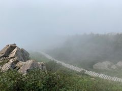 -白草畔自然风景区