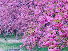 -莲花池公园