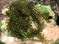 网红小葡萄冰草-炙柒Sekinana·精致料理 烧鸟·铁板烧(海上世界店)