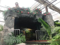 -南宫五洲植物乐园