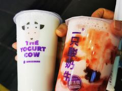 -一只酸奶牛(八一路店)