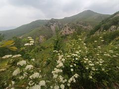 -灵山