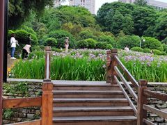 -龙头寺公园