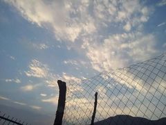 景点-腾冲北海湿地