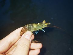 -彩虹沙滩