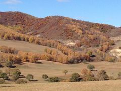 -塞罕坝国家级自然保护区