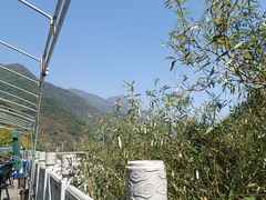 -建社鱼庄(管坪店)