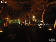 路-钓鱼台国宾馆