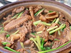 -霞姐屯昌枫木香草鸭店(海螺店)