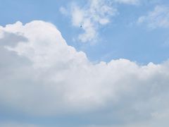 -绿堤公园