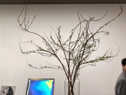 -Y-STUDIO原理