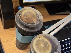 -网鱼网咖·电竞(南开百脑汇店)