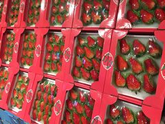 红颜草莓-盒马鲜生(皇庭广场店)