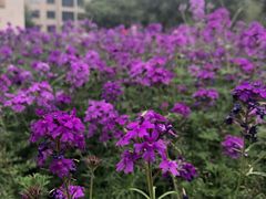 -河南省黄河迎宾馆