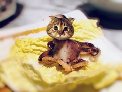 -水之惠鲜鱼料理(王府大街店)