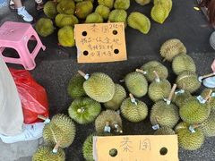 -海吉星市场