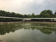 -北京上庄水库尚野露天户外自助烧烤