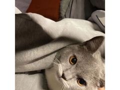 -微光私人影院(巴南万达店)