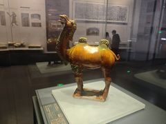 -贵州省博物馆(新馆)