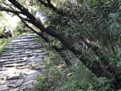 -阳台山自然风景区