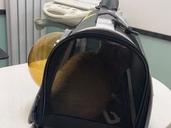 -中农大我爱我爱动物医院·核磁CT·猫病·24小时夜诊中心(石佛营店)