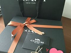 -COACH蔻驰(星光68广场店)