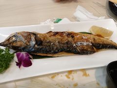 -禾绿回转寿司(国瑞店)