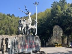 -长沙黑麋峰国家森林公园