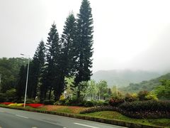 -梧桐山风景名胜区