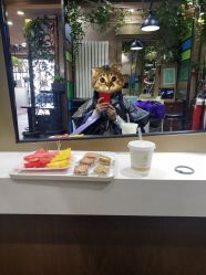-雅梵伊容·护肤·造型
