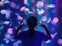 -海合安成都极地海洋公园