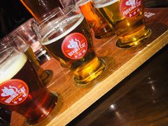 -Boxing Cat Brewery拳击猫精酿啤酒馆(永福店)