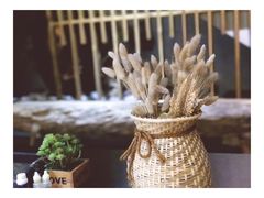 -泰·菩提树下[泰式按摩x精油SPAx肩颈头疗](新景店)