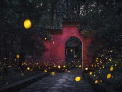 -灵谷景区