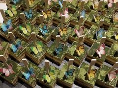 -上海东方佘山翰悦阁酒店·Vie全日制餐厅