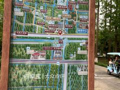 -黄海国家森林公园