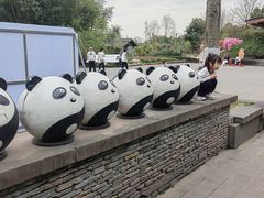 -都江堰中华大熊猫苑
