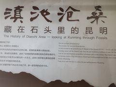 -昆明市博物馆(昆明市文物保护和考古研究中心)