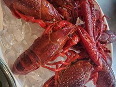 -张小歪的虾·螃蟹·生腌熟醉·打边炉(中山北路店)