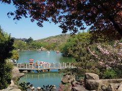 -白马涧龙池景区