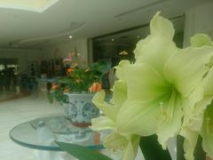 -广州花之恋城堡酒店
