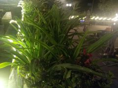 -楠柏弯休闲山庄(梨花溪店)