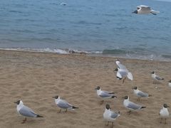 -青海湖二郎剑景区