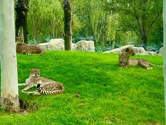 -北京野生动物园