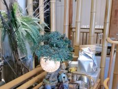 -上座云间·青年赣菜(绿茵店)