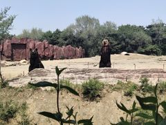 -沈阳森林动物园